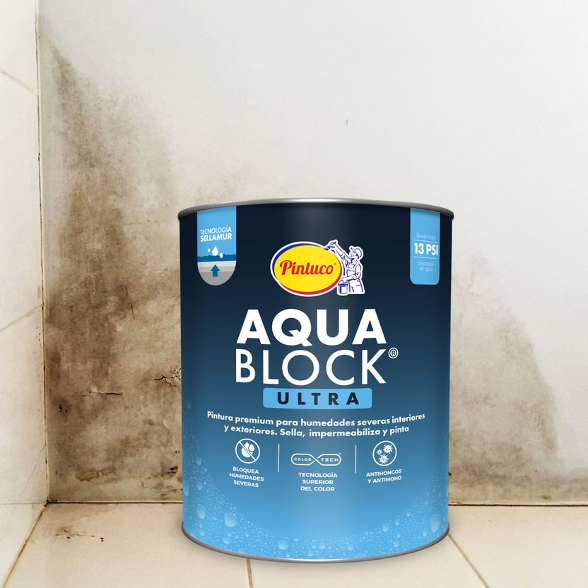 Bloqueador De Humedad para Interior Blanco Sellamur 3 En 1 1/4